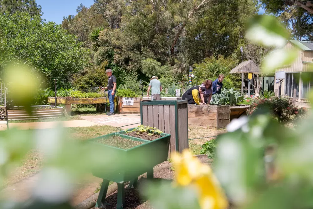 {banner_image}Health Promotion{/banner_image}